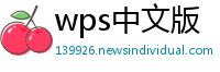 wps中文版